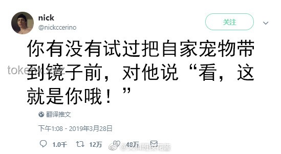 **打破刻板印象：揭秘“男生最受女生欢迎身高”背后的多元魅力密码** 💑, 数据分析, 审美多元, 身高偏好, 情感创新